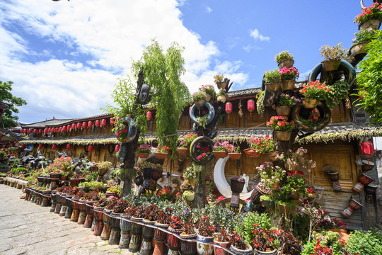 丽江古城樱花餐厅