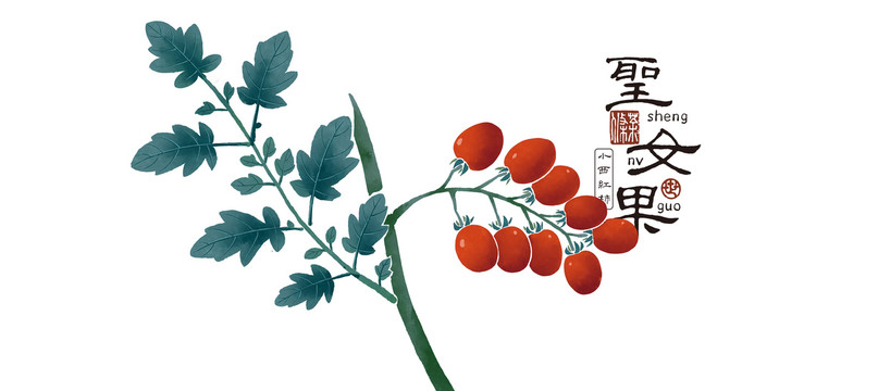 小西紅柿