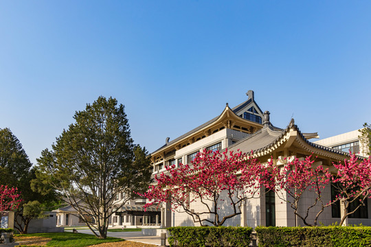 鲜花掩映的北京大学图书馆