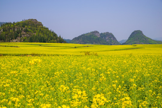 田园风光