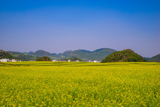 田园风光