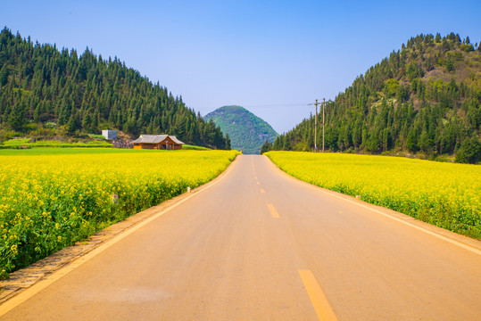 乡村道路