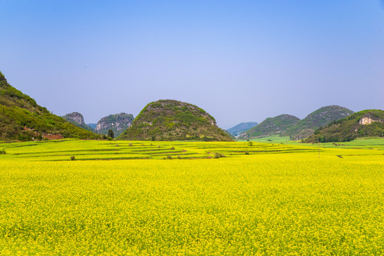 春天田野