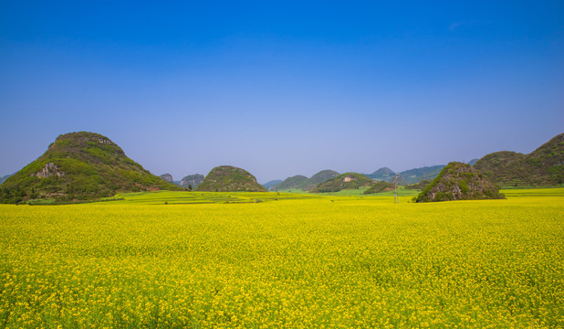 春天田野