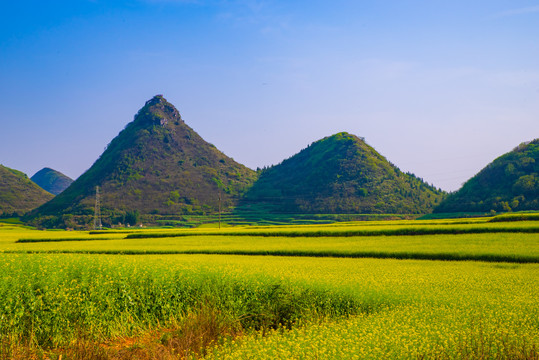 春天田野