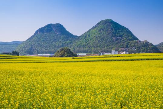 春天田野