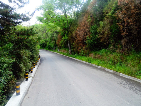 公路山路