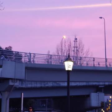 紫色的日落