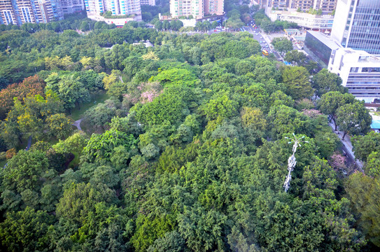 俯瞰城市园林