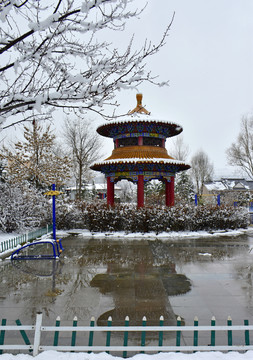 公园雪景