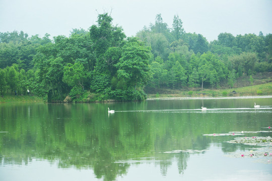 湖景