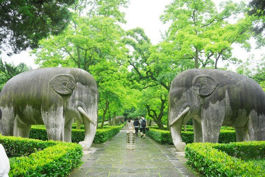 雨天明孝陵石象路