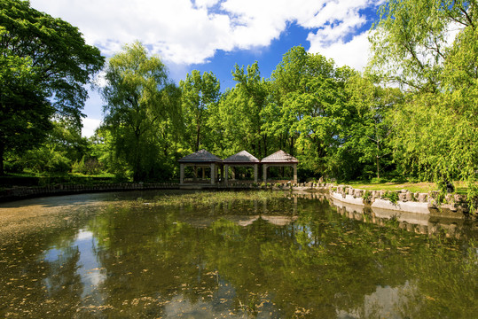 公园湖水风景