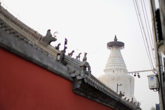 红墙里的妙应白塔寺