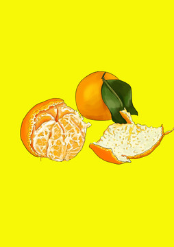 橘子