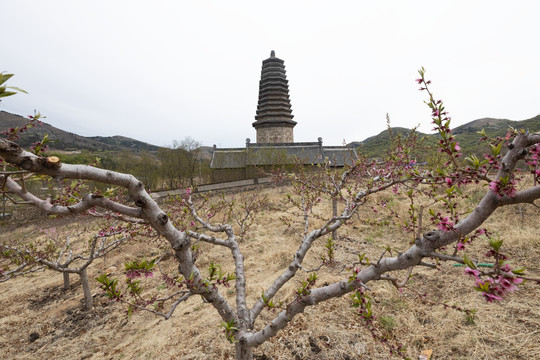 中天寺塔