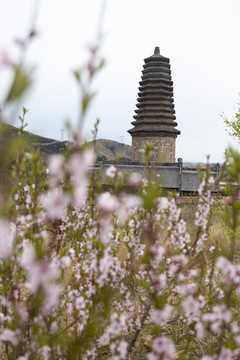 中天寺塔