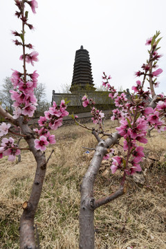 中天寺塔