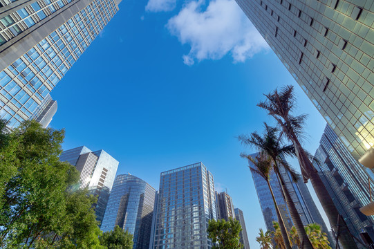 福建厦门商务区的摩天大楼