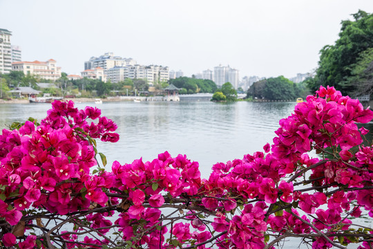 惠州西湖美景