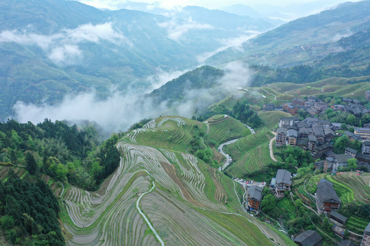 广西龙脊梯田