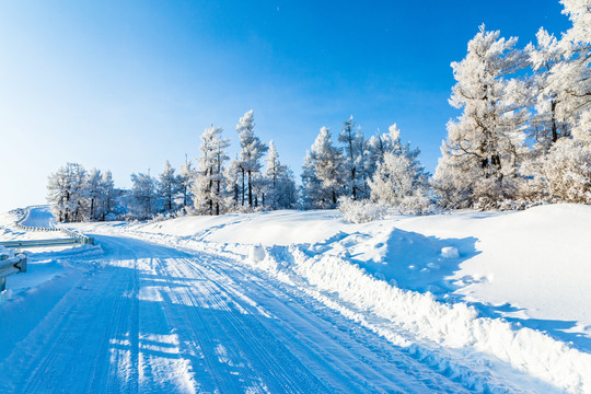 冬季森林积雪公路