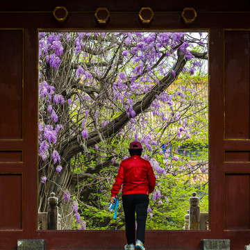 北京孔庙大成门