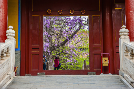 北京孔庙大成门