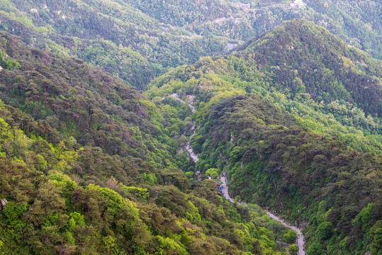 泰山风光