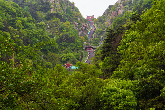 泰山风光