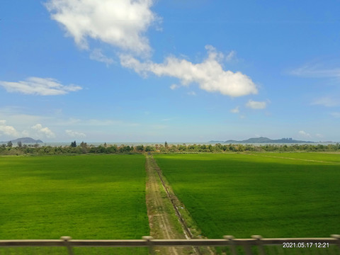 高铁路沿途大海风景光草原绿