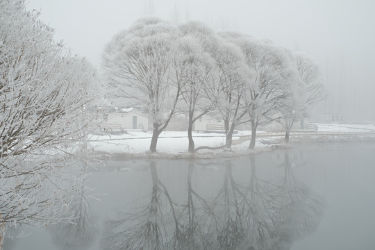 雪景