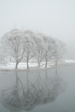 雪景