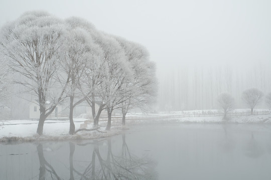 雪景