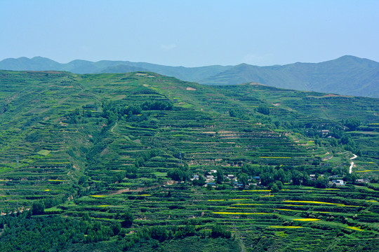 乡村风光