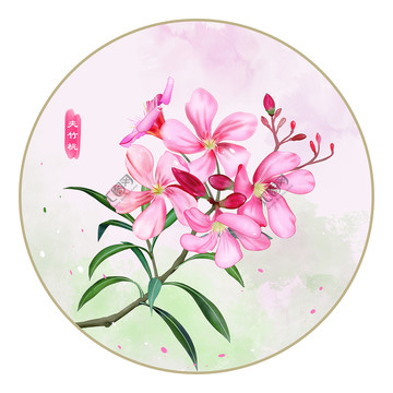 夾竹桃