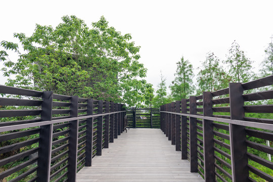 海珠湿地公园廊桥