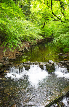 山谷小溪流水