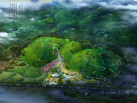 茶山景觀