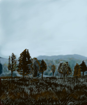 冬日森林风景画