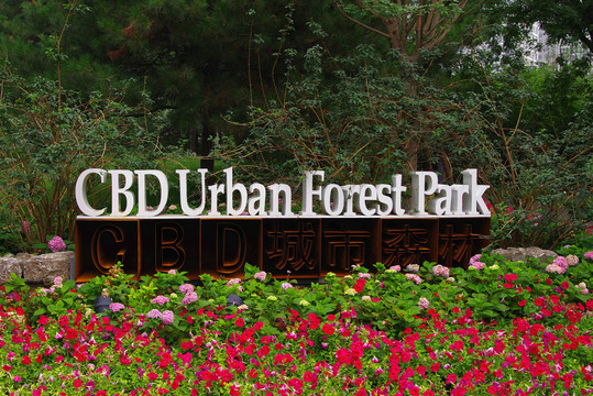 北京cbd城市森林公园