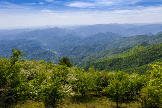 森林旅游