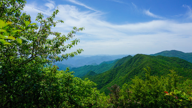 高山花海