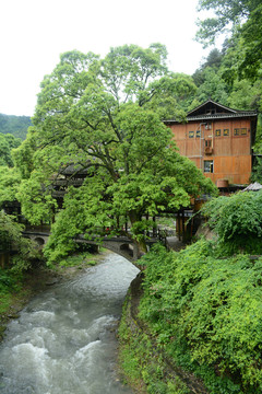 苗族村寨