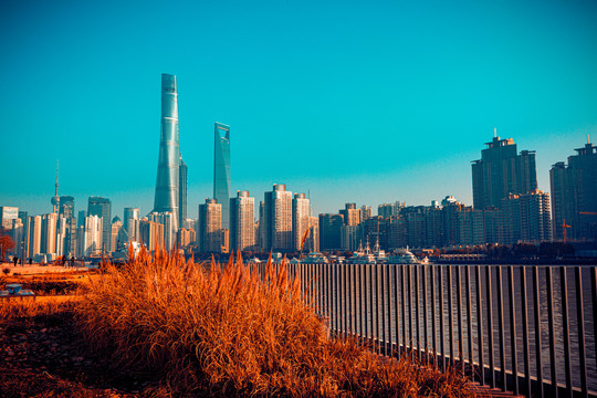 上海天际线全景