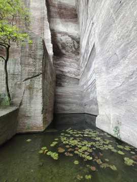 莲花山