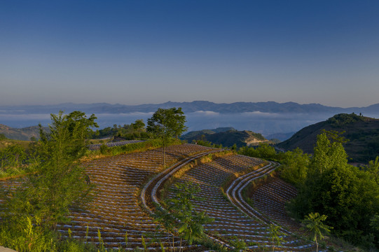 农田美景