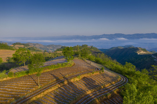 田园美景