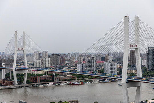 上海南浦大桥