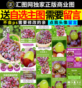 茉莉香葡萄詳情